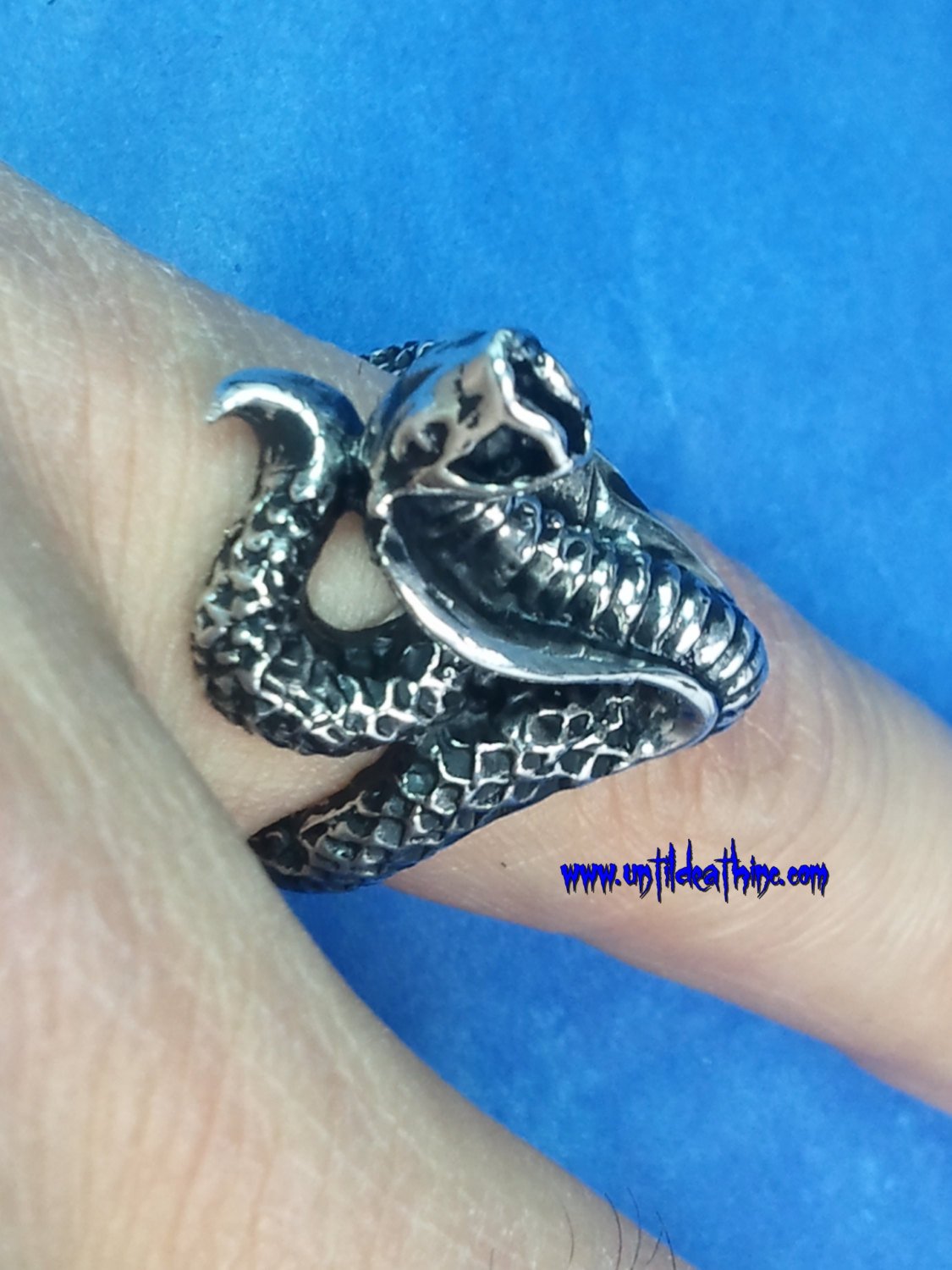 Striking King Cobra -UDINC0047