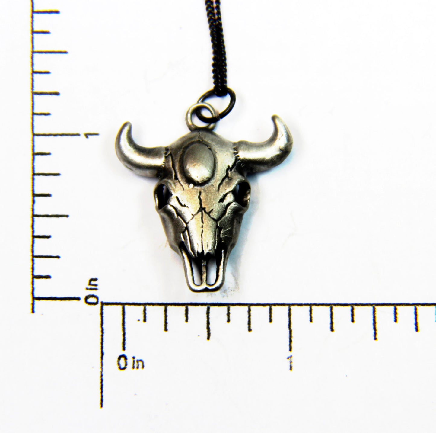 Buffalo Skull- UDINC0182